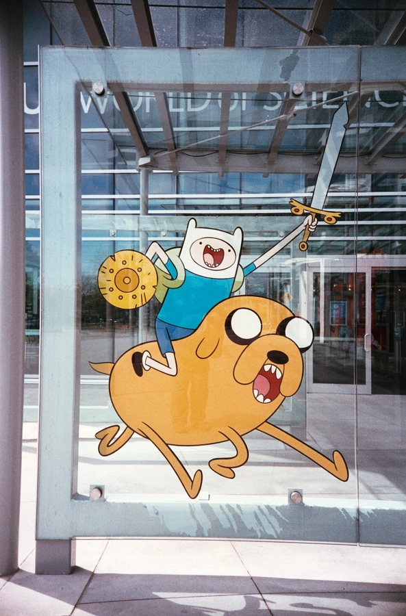 Aye-Aye Gets Lucky - Endangered & Misunderstood Book 1 by Terri Tatchell